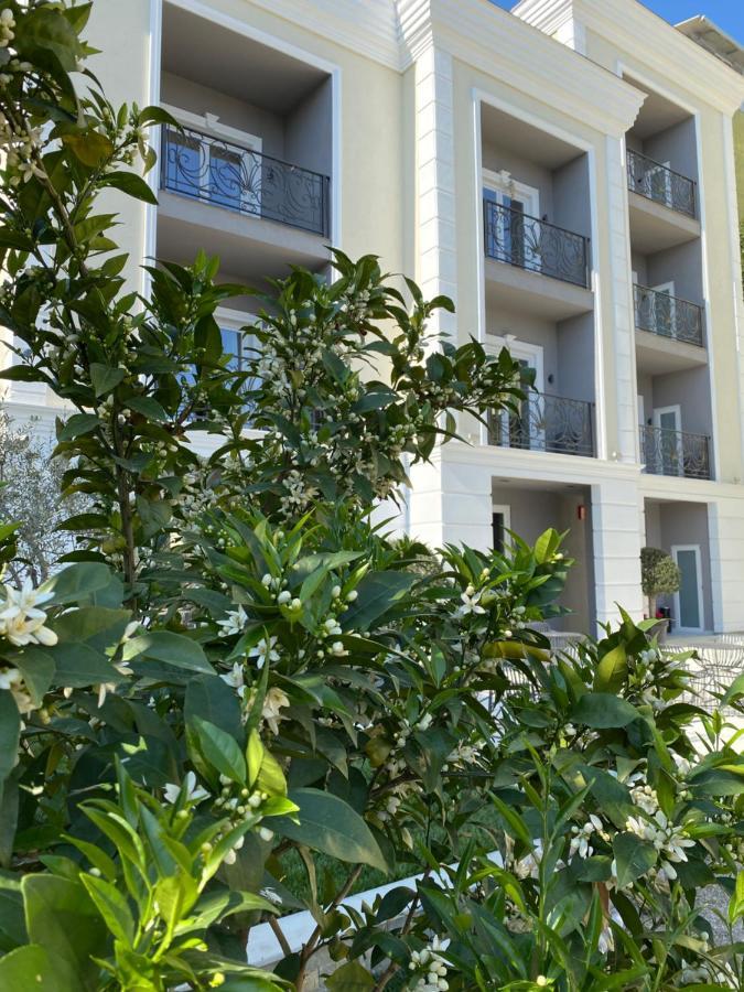 Hotel Venis